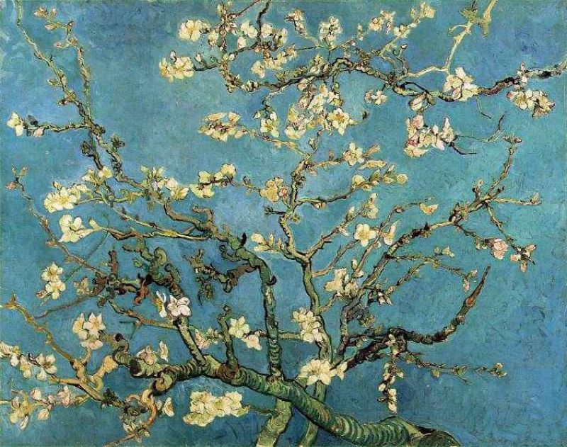 branches with almond blossom.jpg